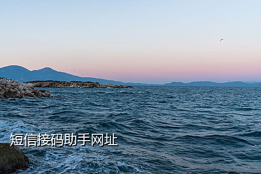 蒙牛接码短信平台