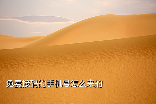 美国手机号接码