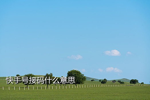 利用手机接码犯罪