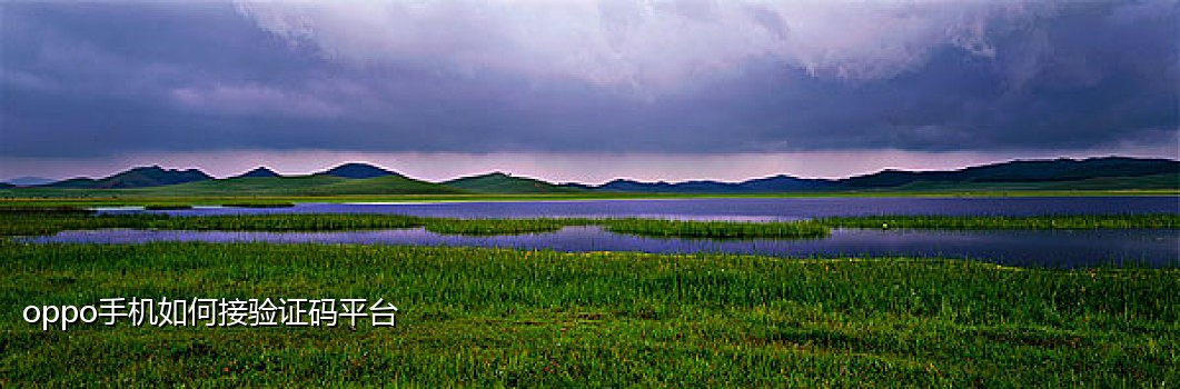雷电云手机为什么接不到验证码