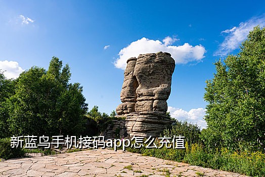 老苹果电脑接不到验证码