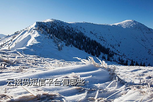 老年人手机接码违法吗