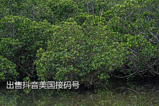 快手验证码接码