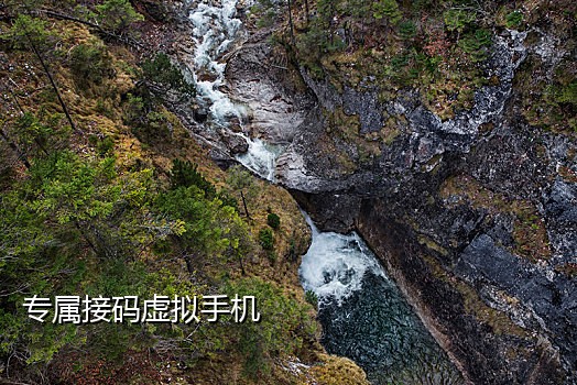 可以注册抖音的接码