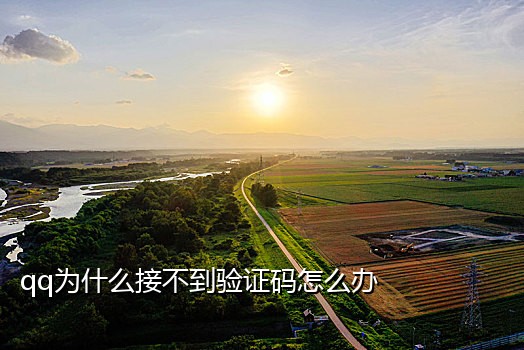 手机号接码啥意思呀怎么接