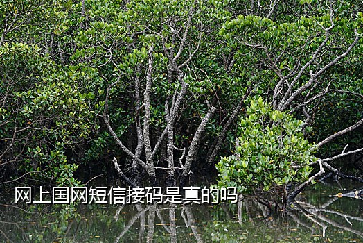 可接码手机卡