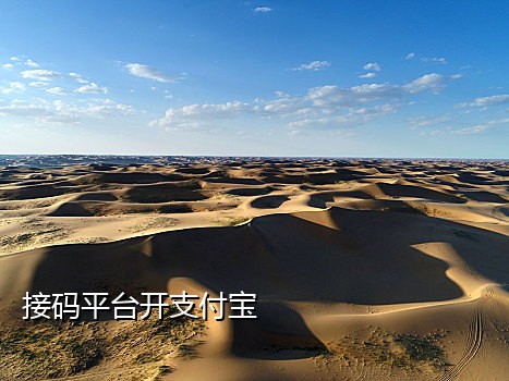 京东接码技术开发