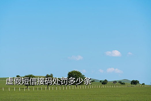 接码注册qq平台吗