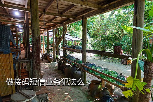 手机号代接语音验证码