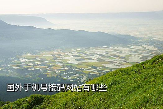 接码软件教程手机版
