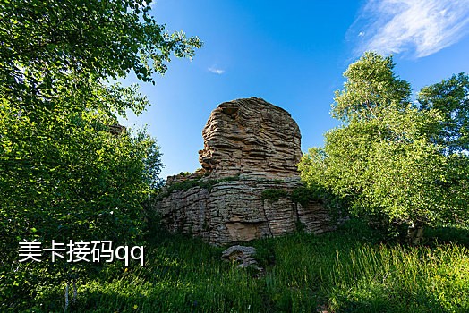 接码平台接微信登录