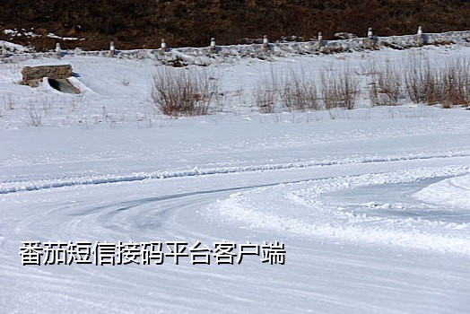 接码快手极速