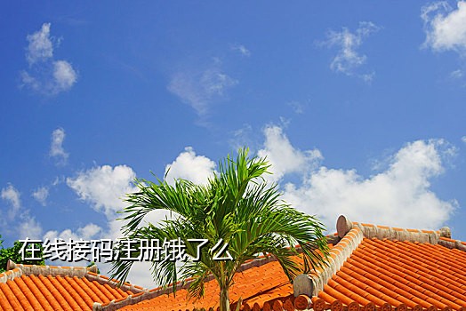接码短信平台网页