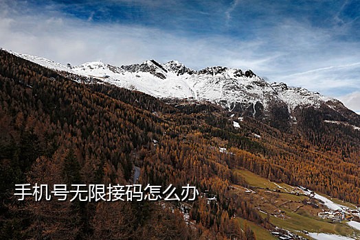 接国外短信平台验证码