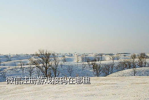 接不到苹果公司验证码