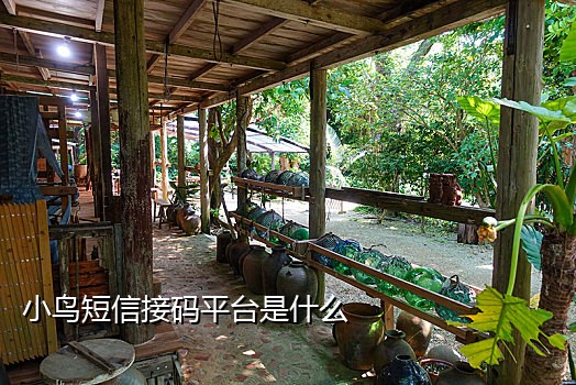 接不到美团语音验证码