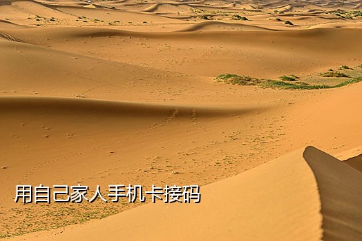 手机版抖音接码平台怎么接