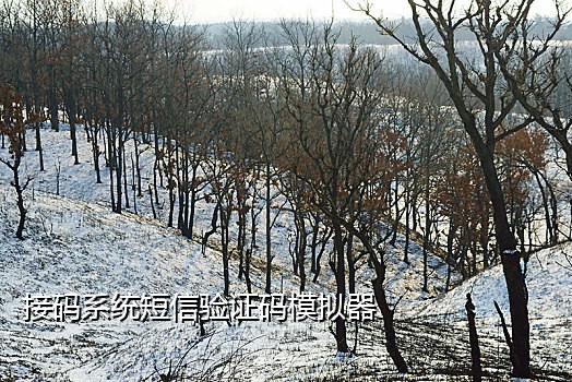 国外接短信验证码平台