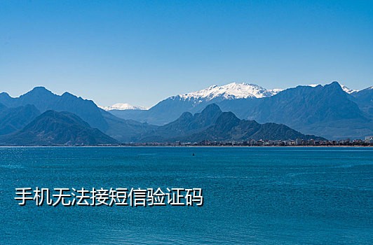 国外短信接码平台叫什么