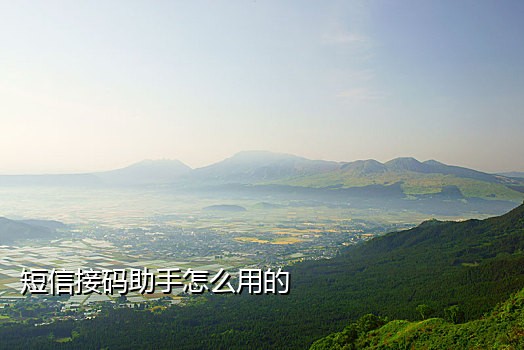 国外api短信接码