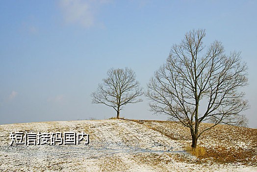 俄罗斯手机号接码平台