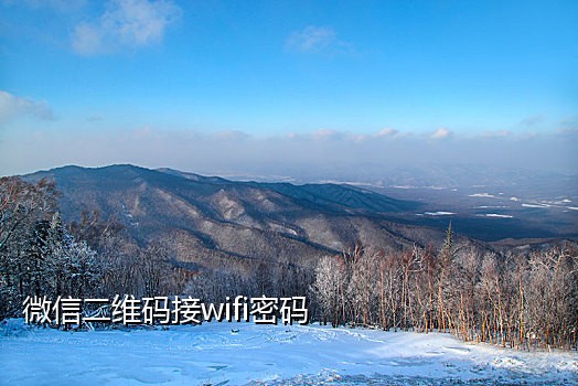 短信为啥接不到验证码