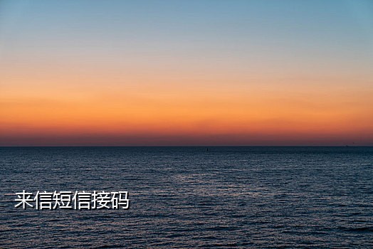 短信接码视频怎么弄的啊