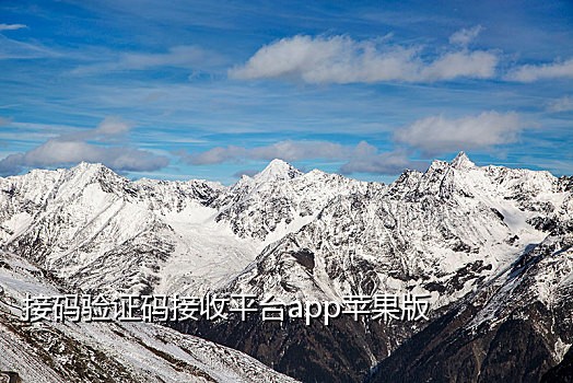 短信接码平台验证码