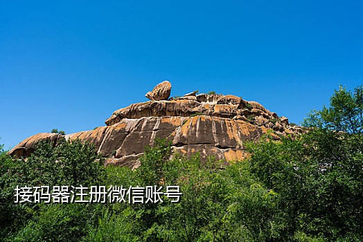 短信接码平台吗