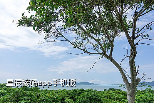 生成手机号接验证码