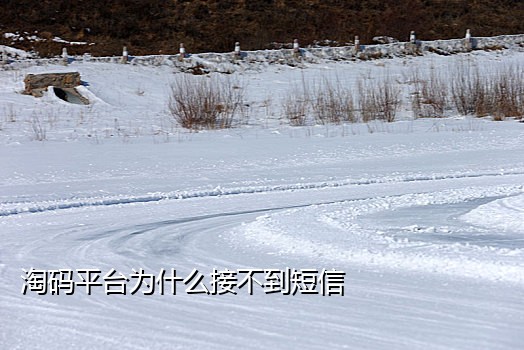 抖音接码验证码平台有哪些