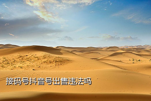 抖音接码哪个好