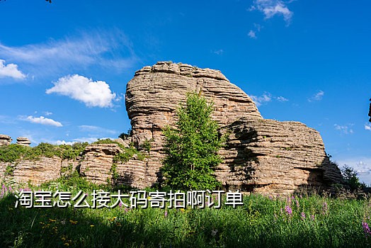 抖音接码价格