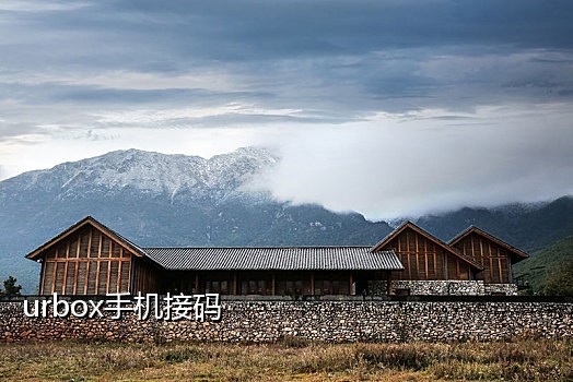 抖音国内号接码平台