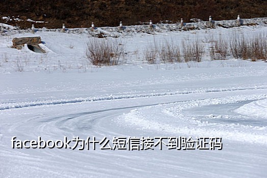 大陆手机号接码