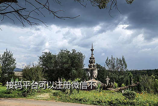 百度接码收不到验证码