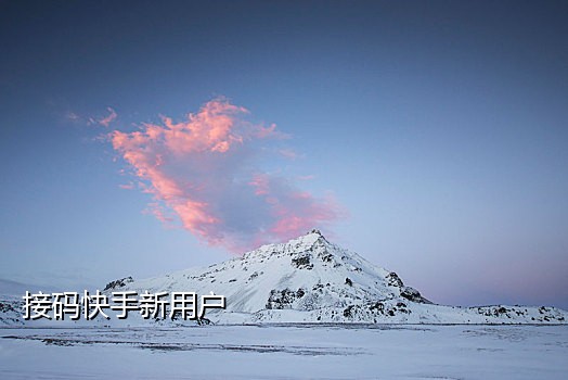 dz短信接码平台下载