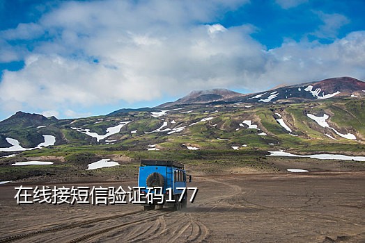 app注册短信接码