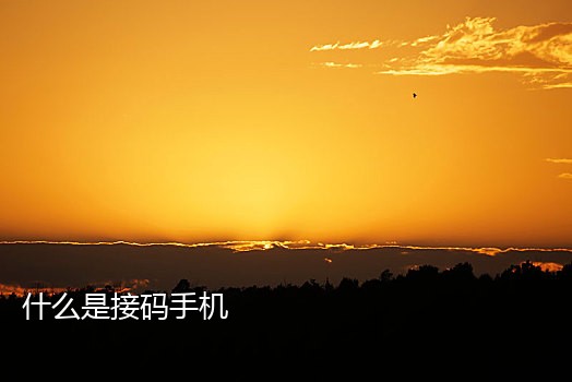 2020年最新短信接码