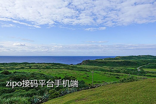 2019手机接码下载