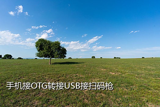 2017接码平台陌陌注册