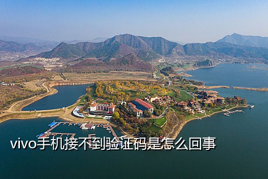 115需要手机接验证码