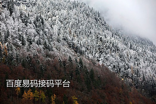 自助接码和短信拦截