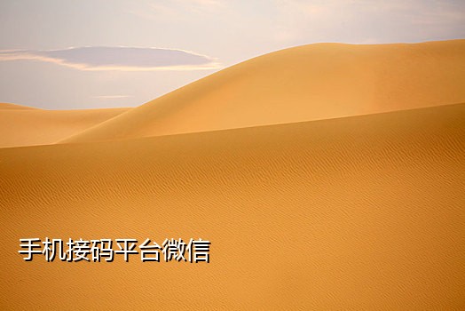 中国短信接码器