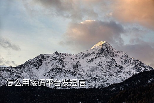 战狼短信接码平台