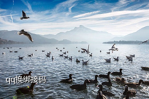 怎样接别人短信验证码