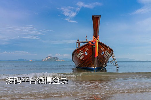 全新1型美国接码手机号码