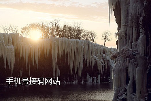 原神接码短信平台在哪看
