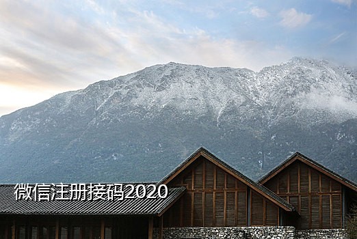 青年微信接码