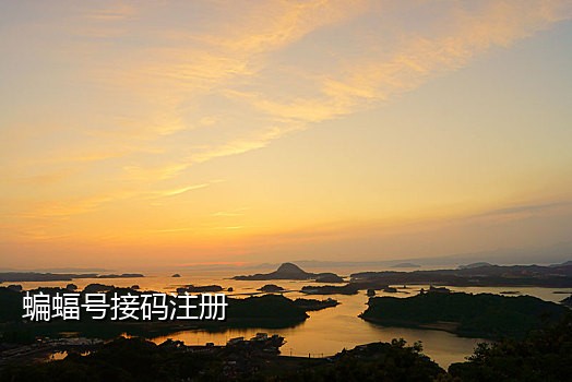 千万手机短信接码